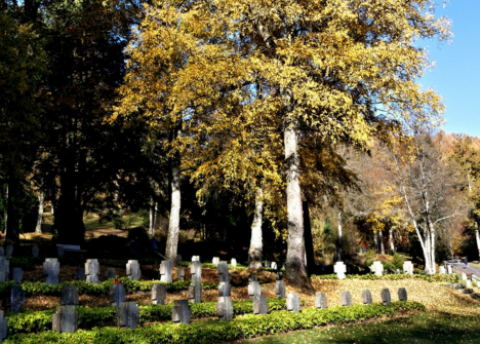 Symbolfoto Hermelsbacher Friedhof (Foto: Stadt Siegen)